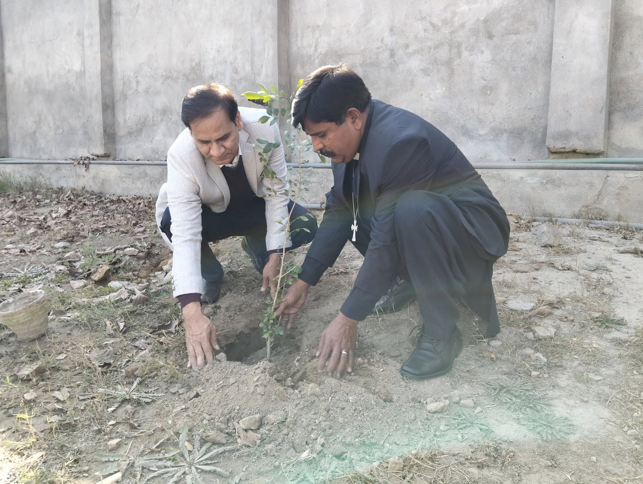 Plantation Drive